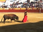 Antonio Ferrera y Sánchez Vara triunfan en la corrida del Sábado de Gloria