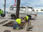 El Ayuntamiento de Vinaròs invertirà 45.000 euros en renovar los alcorques del paseo marítimo