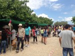 Multitudinaria jornada de puertas abiertas en El Cau