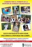 El Ayuntamiento de Vinaròs y Corralet inician una campaña de adopción de animales