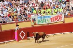 Más de 10.000 personas han presenciado los diferentes eventos taurinos en Vinaròs